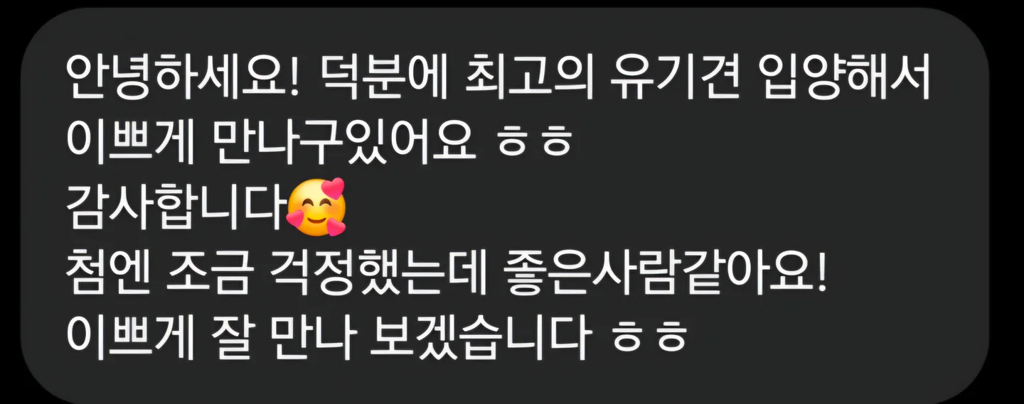짐툴 실제 리뷰 스크린샷 4