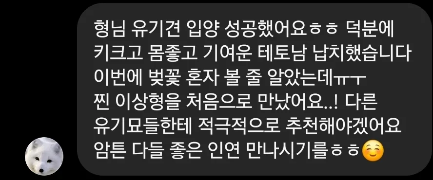 짐툴 실제 리뷰 스크린샷 10
